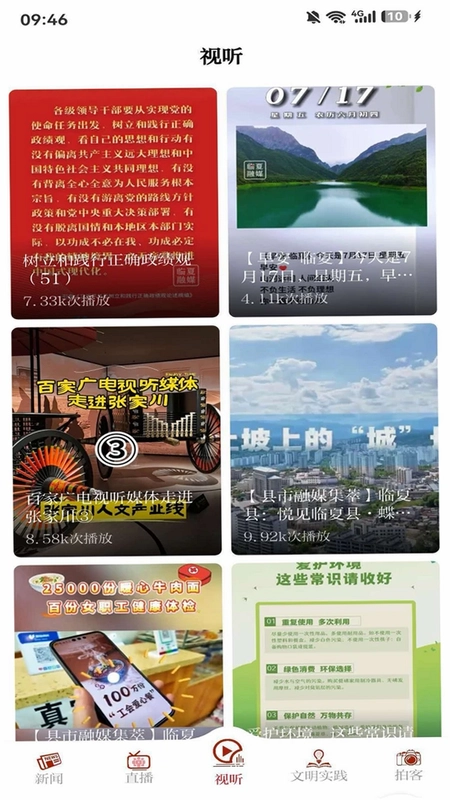 花儿临夏预览图