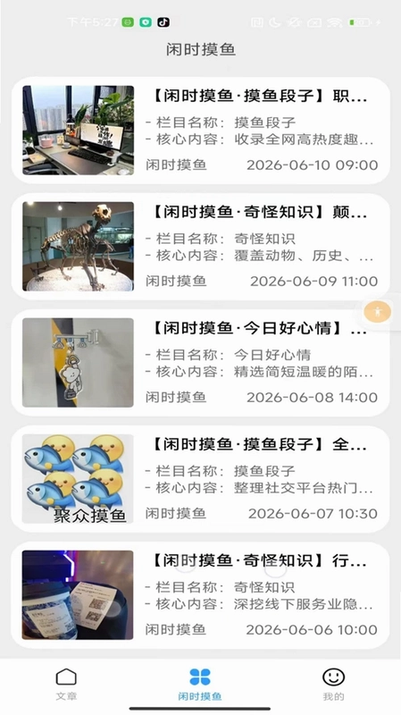 闲时摸鱼预览图