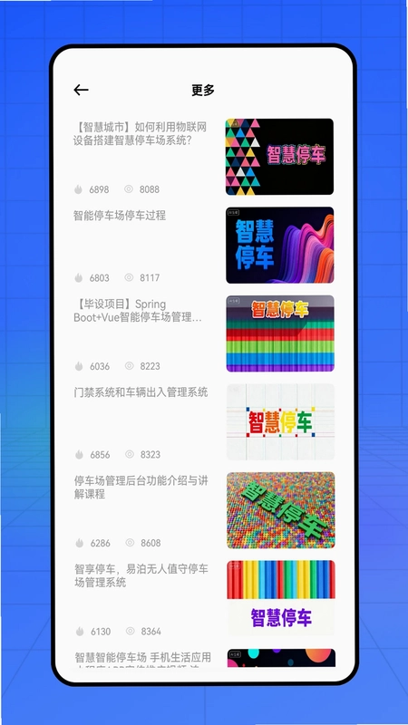 速停车预览图