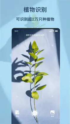 ��ɫʶ��Ԥ��ͼ