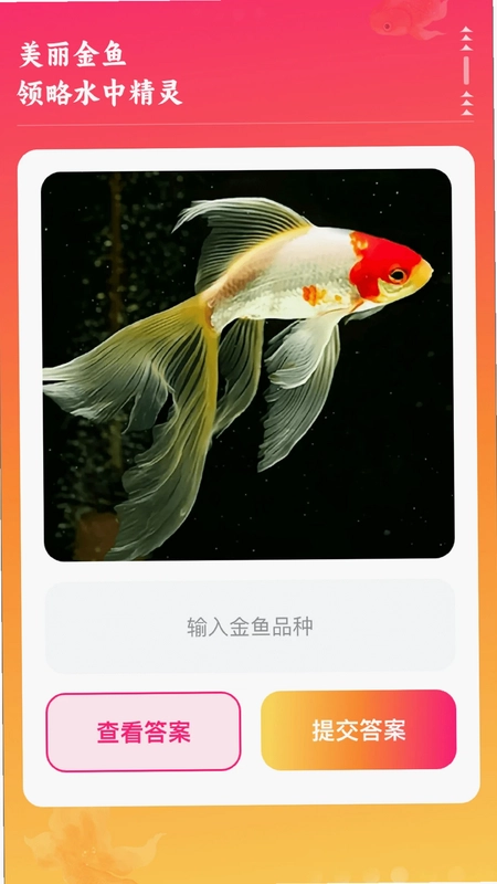 ������appԤ��ͼ