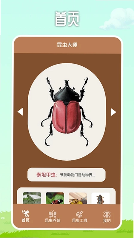 虫虫帮手预览图