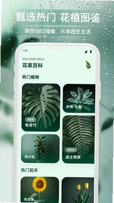 龙享花鉴预览图