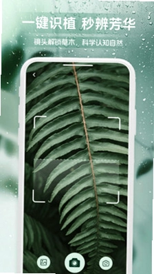 龙享花鉴预览图