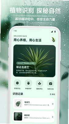 龙享花鉴预览图