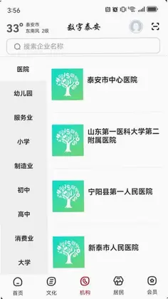 数字泰安预览图