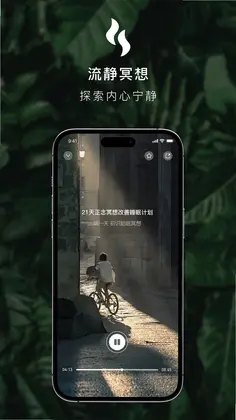 流静预览图