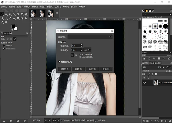 GIMP(ͼ��������)Ԥ��ͼ