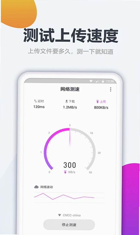 测网速大师预览图