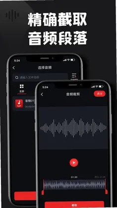 kgm转换mp3大师预览图