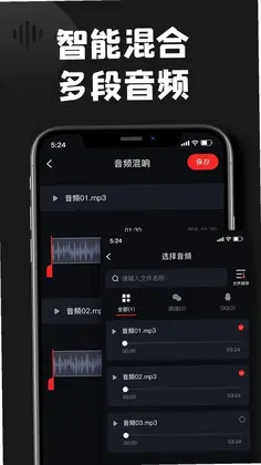 kgm转换mp3大师预览图