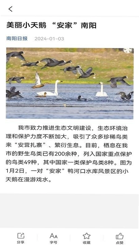 南阳政务预览图