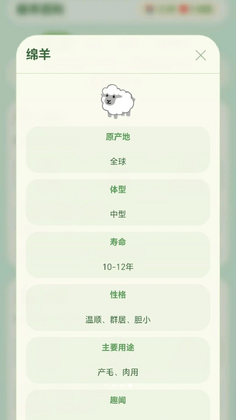 萌羊点点预览图