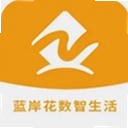 蓝岸花