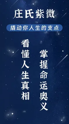 庄氏紫微预览图