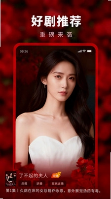 掌上手机电视预览图
