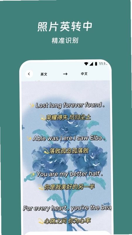 叶盛鸿运译宝预览图