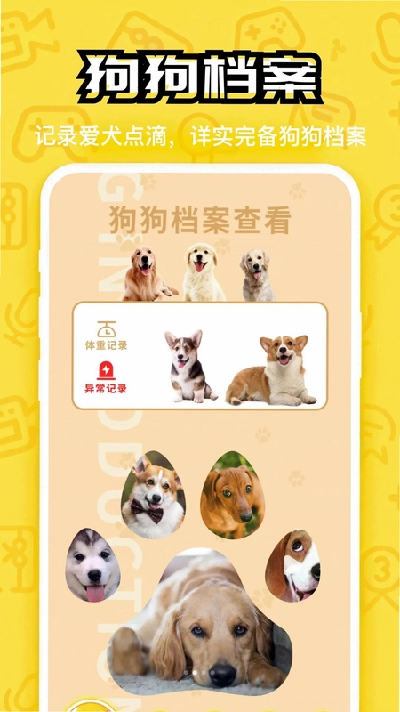 汪星成长记最新版预览图