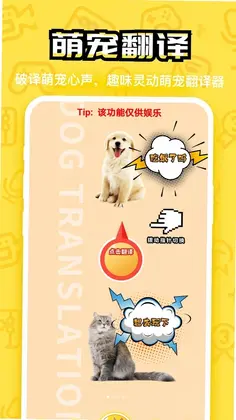 汪星成长记最新版预览图