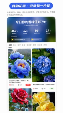 花浓日记预览图