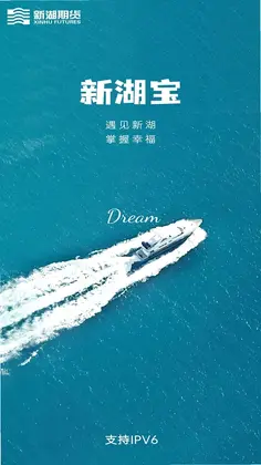 新湖宝预览图