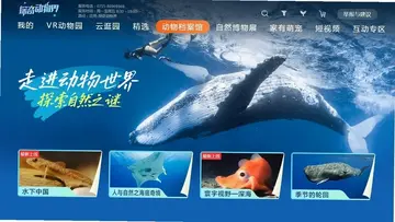 ̽�涯���TVԤ��ͼ