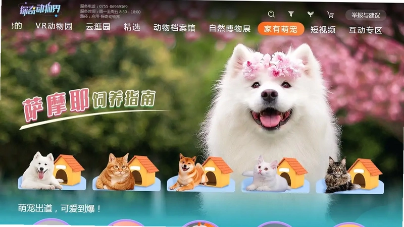 探奇动物界TV预览图