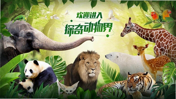 探奇动物界TV预览图
