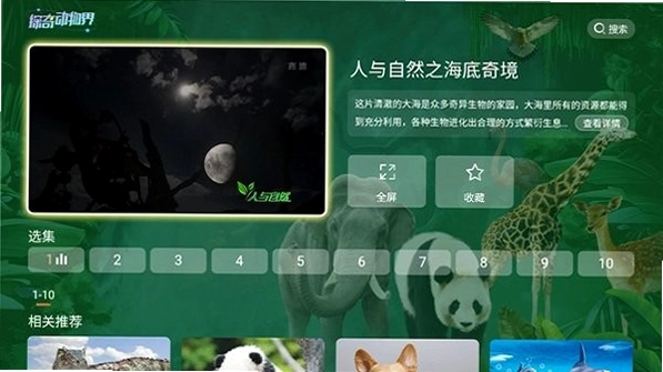 探奇动物界TV预览图