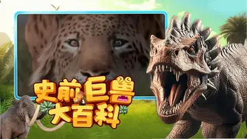 萌想虎百科tv版预览图