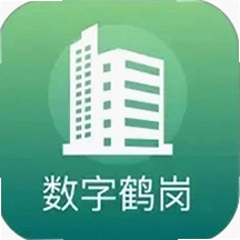 数字鹤岗