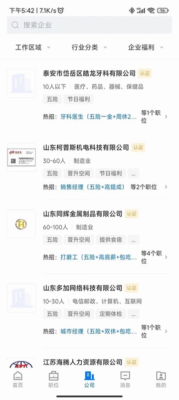 泰安人才网预览图
