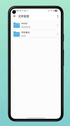 兰科芯智存预览图
