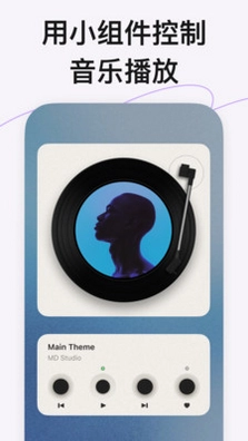 谜底黑胶预览图