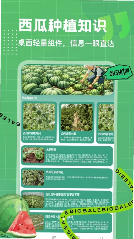 好芯优选预览图