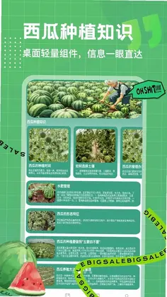 好芯优选预览图