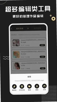 视频格式转换王app预览图