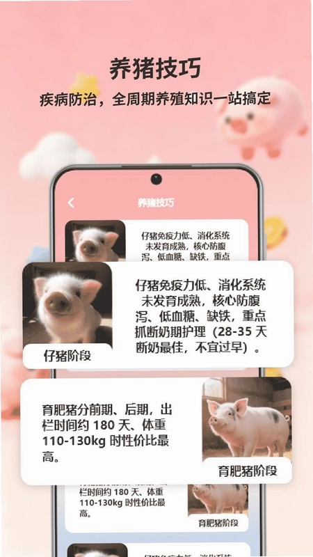 猪猪往前预览图