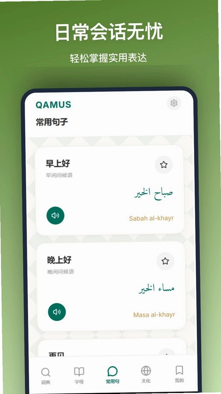 阿拉伯语词典预览图
