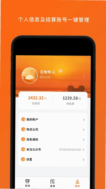 岚蝶风司机版预览图