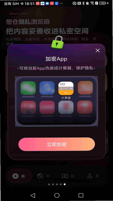 密仓隐私浏览器最新版预览图