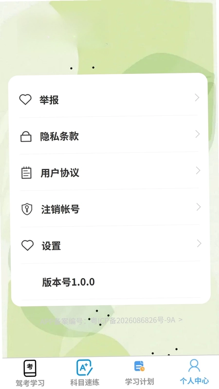 速驾无忧预览图