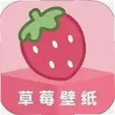 ��ݮ��ֽ1.7.5 ��׿��