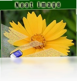 Neat Image预览图