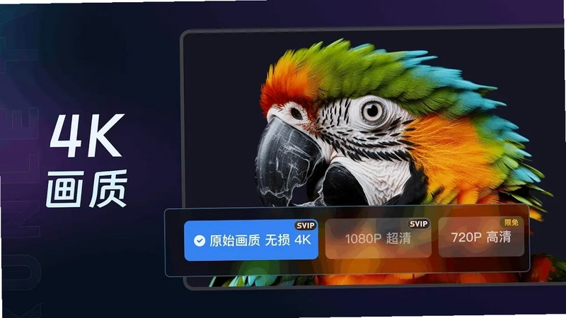 迅雷云盘电视版预览图