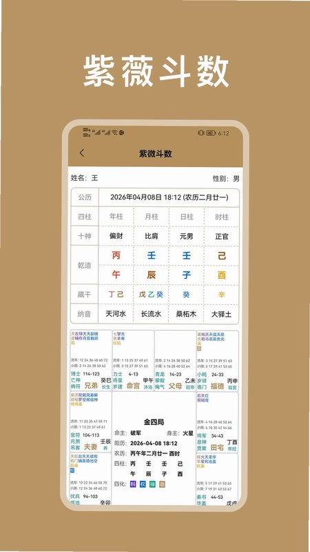 紫微斗数八字排盘预览图