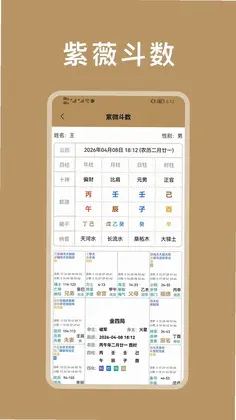 紫微斗数八字排盘预览图