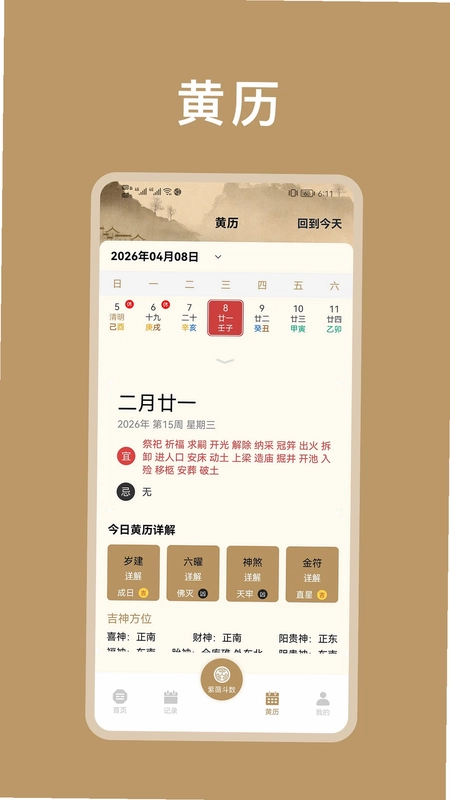 紫微斗数八字排盘预览图