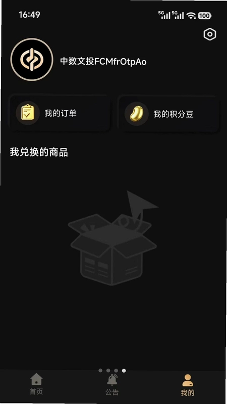 中数文投预览图