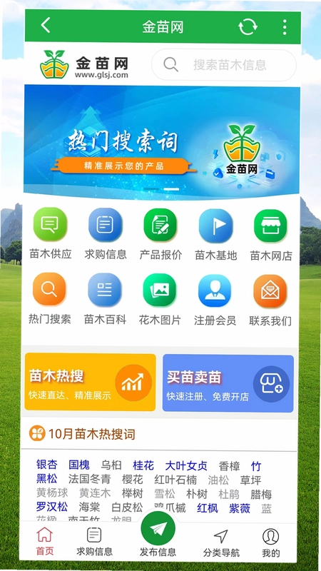 金苗网预览图